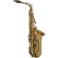 Saxofone Alto Em Mi Bemol Laqueado Sgft-6430l +  Case Shelt