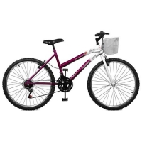 Bicicleta Master Bike Serena Aro 24 36 Raios Feminina Violeta e Branca