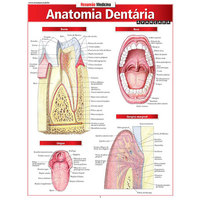 Livro - Resumão - Anatomia Dentária Avançada - Perez