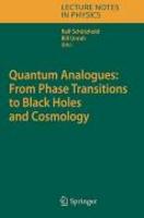 Quantum Analogues From Phase Transitions To Black Holes And Cosmolog