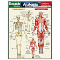 Anatomia:Sistema do Corpo Humano