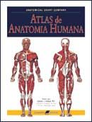 Anatomical Chart Company - Atlas de Anatomia Humana