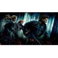 Harry Potter e as Relíquias da Morte Parte 1 Blu-Ray - Multi-Região / Reg.4