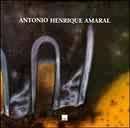 Antonio Henrique Amaral - Obra em Processo