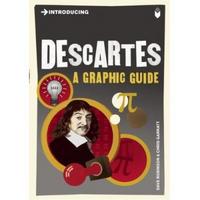 Introducing Descartes 2010