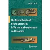 The Neural Crest And Neural Crest Cells In Vertebrate Development And Evolution