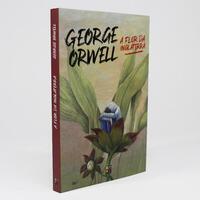 A Flor Da Inglaterra | George Orwell | Pé Da Letra