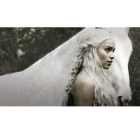 Game Of Thrones - 1ª a 4ª Temporada 20 DVDs Blu-Ray - Multi-Região / Reg.4