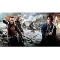 O Hobbit:a Desolação de Smaug - Edição Estendida Blu-Ray - Multi-Região / Reg.4