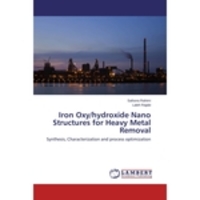 Livros - Iron Oxy/hydroxide Nano Structures For Heavy Metal Removal