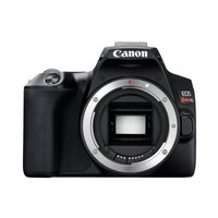 Câmera Canon EOS Rebel SL3 DSLR 24.1MP Corpo