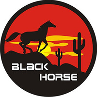 Capa para estepe Carrhel Cavalo Negro com cadeado Crossfox Ecosport e Doblo/Aircross